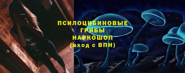 сатива Армянск