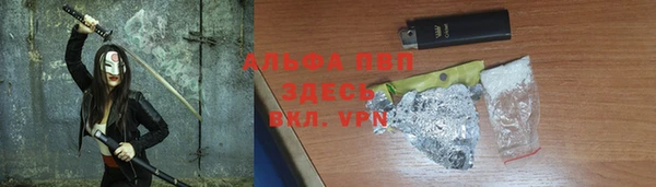 сатива Армянск