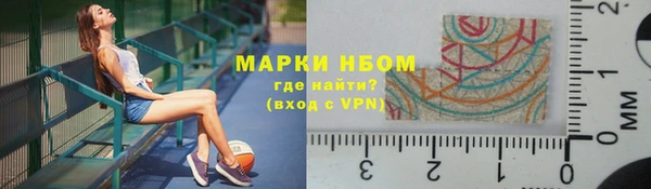 сатива Армянск