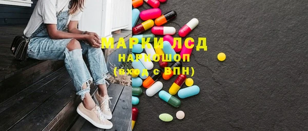 сатива Армянск