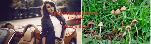 таблы Арсеньев