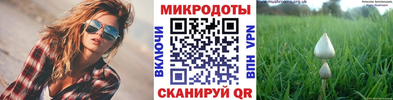 где купить наркоту  Мелеуз  Псилоцибиновые грибы Psilocybine cubensis 